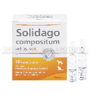 SOLIDAGO COMPOSITUM ad us.vet.Ampullen