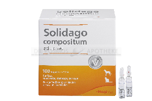 SOLIDAGO COMPOSITUM ad us.vet.Ampullen