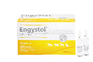 ENGYSTOL ad us.vet.Ampullen