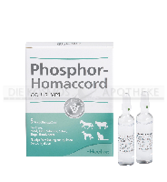 PHOSPHOR HOMACCORD ad us.vet.Ampullen