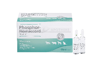 PHOSPHOR HOMACCORD ad us.vet.Ampullen