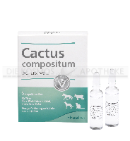 CACTUS COMPOSITUM ad us.vet.Ampullen