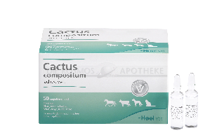 CACTUS COMPOSITUM ad us.vet.Ampullen