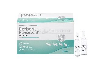 BERBERIS HOMACCORD ad us.vet.Ampullen