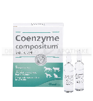 COENZYME COMPOSITUM ad us.vet.Ampullen